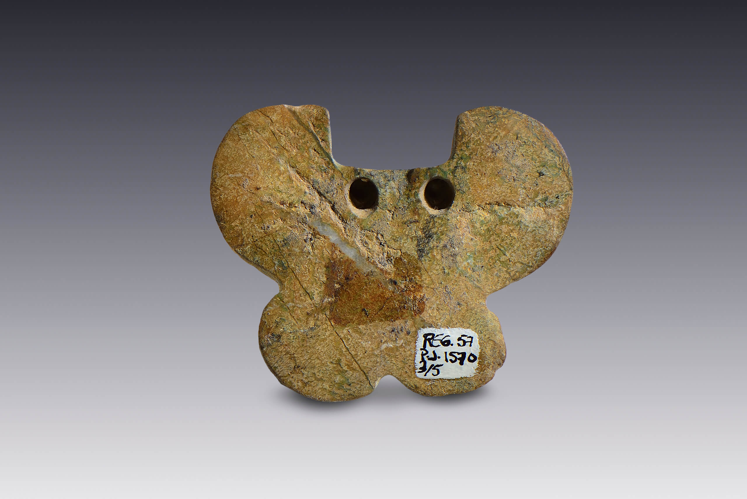 Pendientes con forma de mariposas | El México antiguo. Salas de Arte Prehispánico | Museo Amparo, Puebla