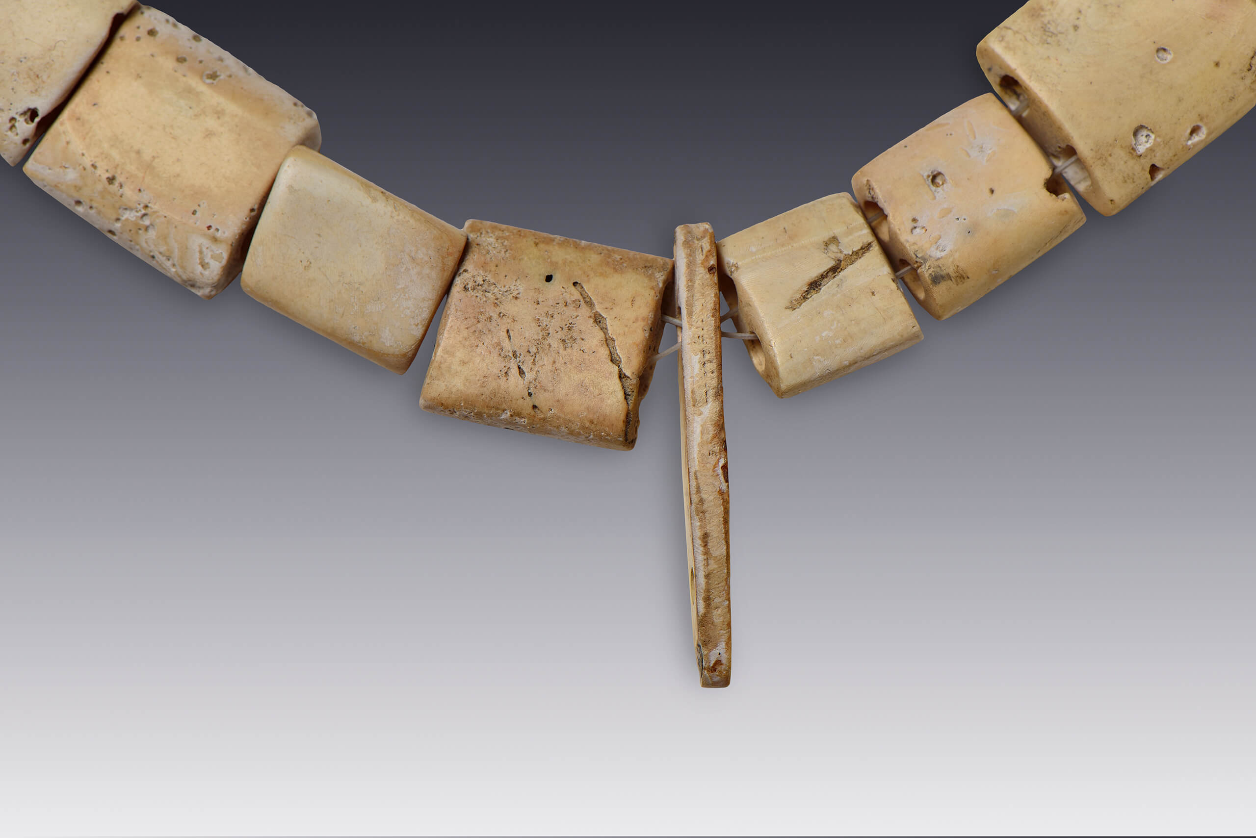 Collar con cuentas de concha | El México antiguo. Salas de Arte Prehispánico | Museo Amparo, Puebla