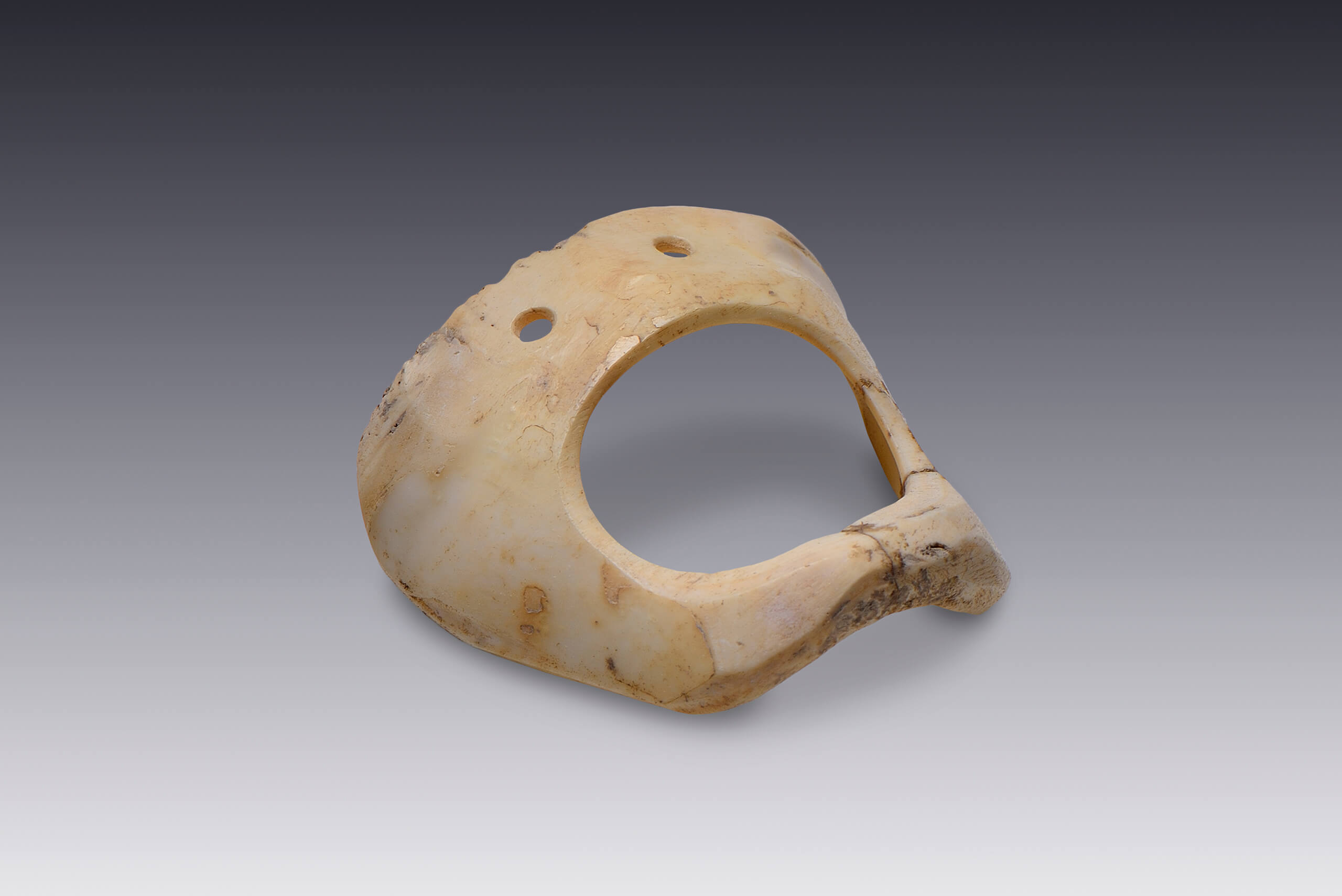 Adornos calados de concha con doble perforación | El México antiguo. Salas de Arte Prehispánico | Museo Amparo, Puebla