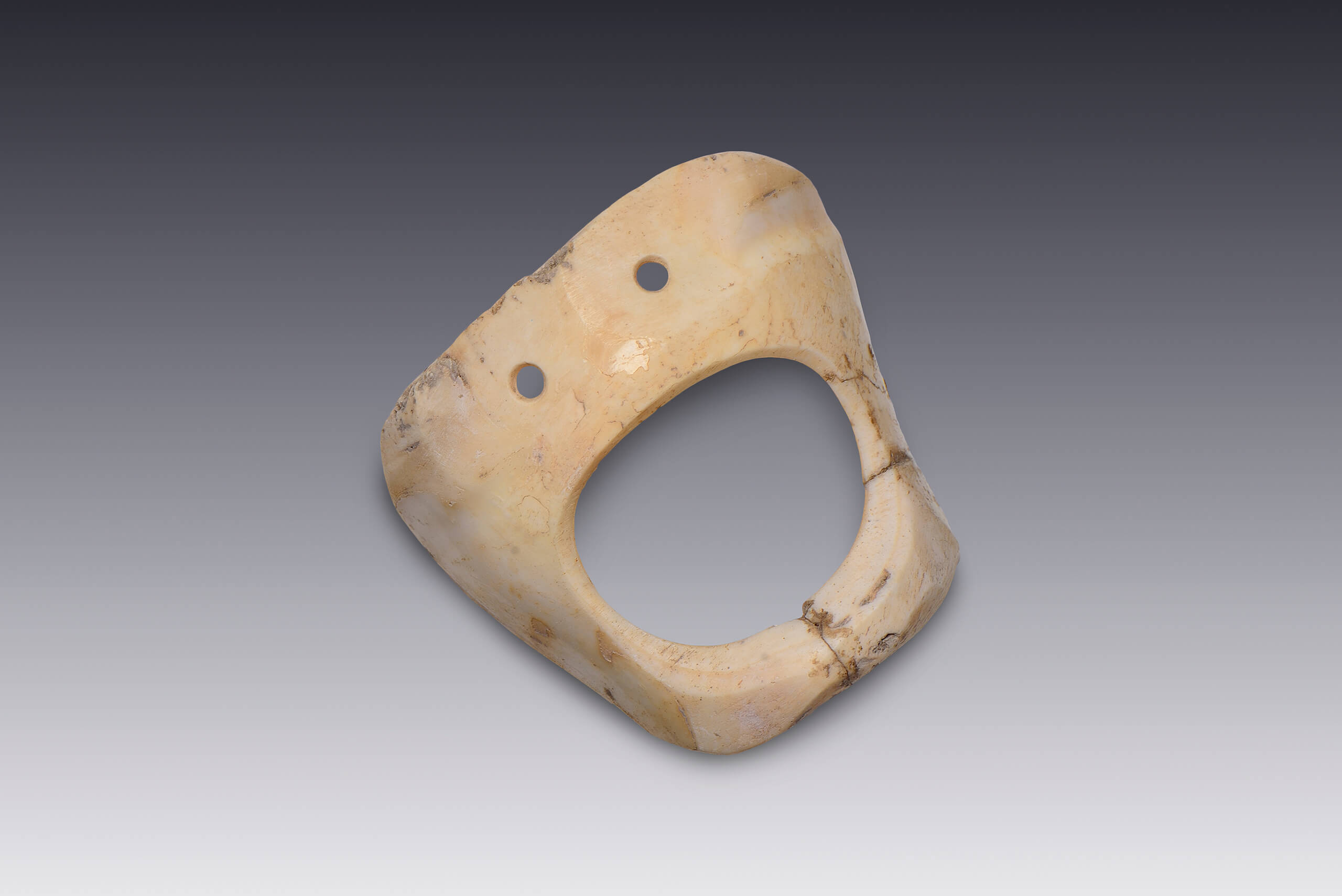 Adornos calados de concha con doble perforación | El México antiguo. Salas de Arte Prehispánico | Museo Amparo, Puebla