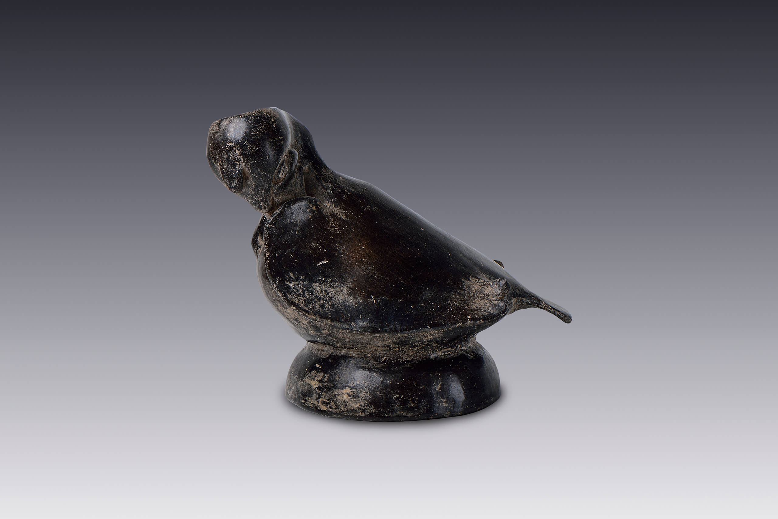 Vasija con forma de ave. Pato | El México antiguo. Salas de Arte Prehispánico | Museo Amparo, Puebla