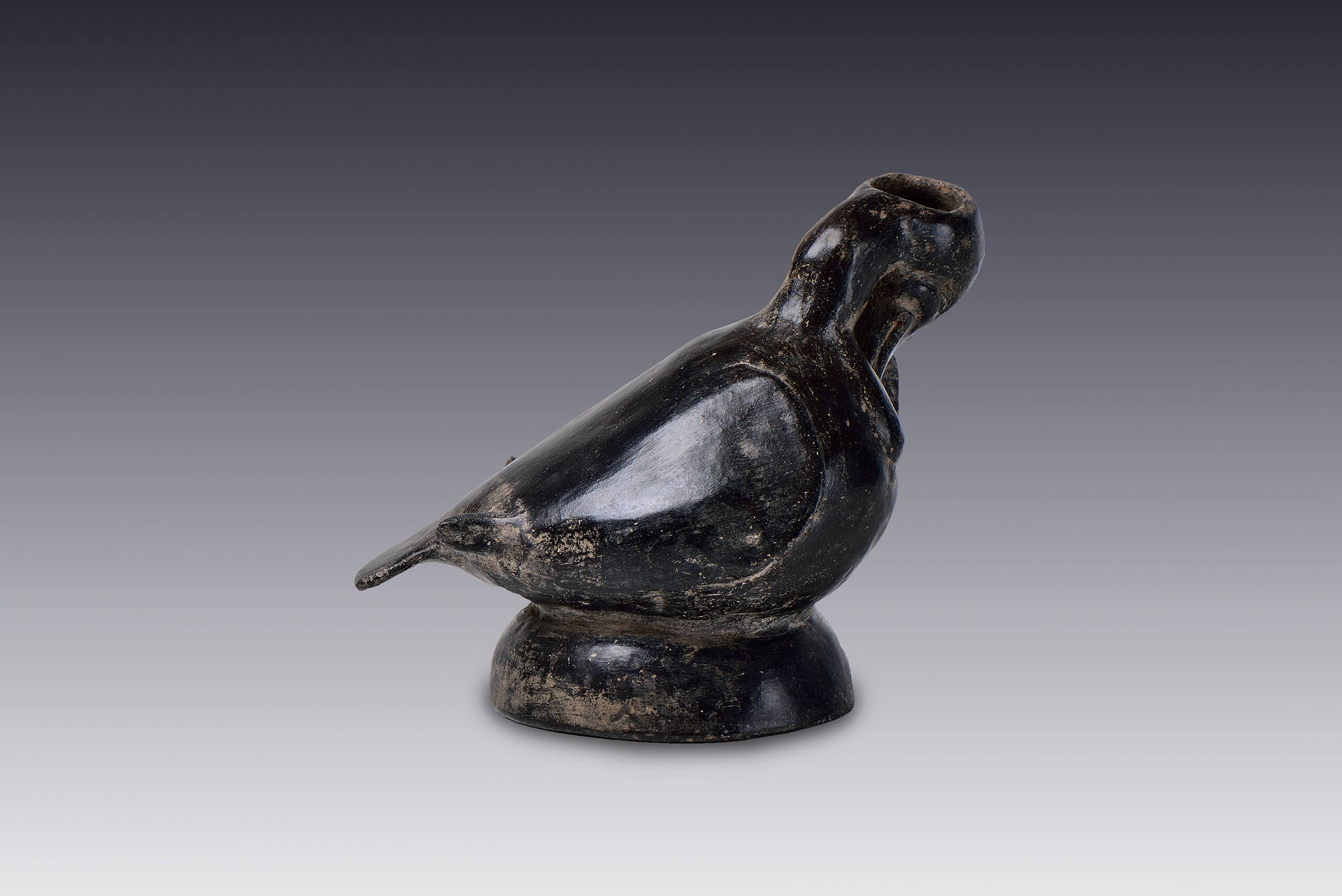 Vasija con forma de ave. Pato | El México antiguo. Salas de Arte Prehispánico | Museo Amparo, Puebla