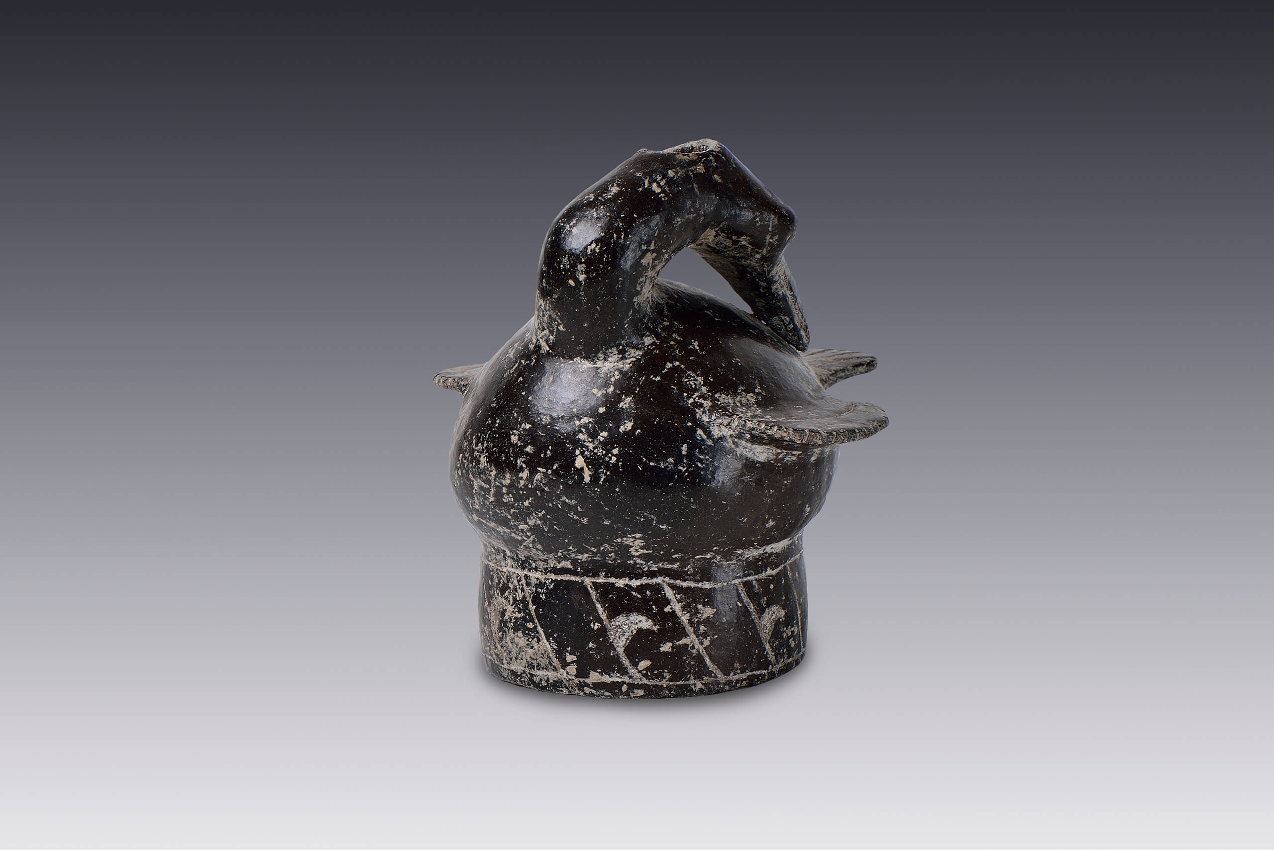 Vasija con forma de ave. Garza | El México antiguo. Salas de Arte Prehispánico | Museo Amparo, Puebla