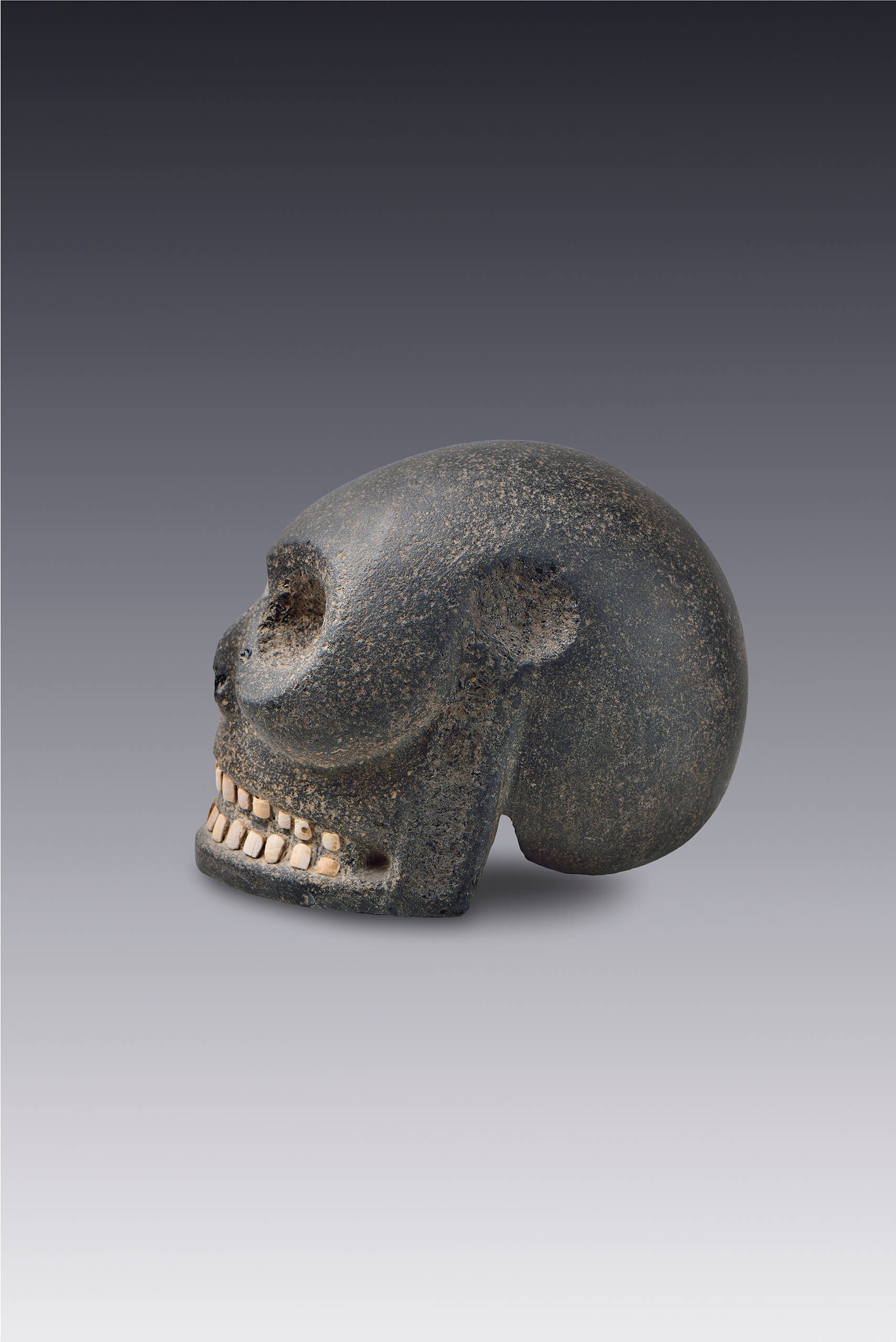 Representación de un cráneo | El México antiguo. Salas de Arte Prehispánico | Museo Amparo, Puebla