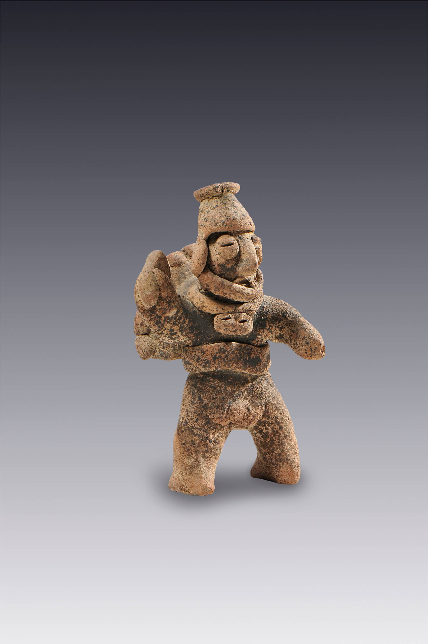 Guerrero emplumado | El México antiguo. Salas de Arte Prehispánico | Museo Amparo, Puebla